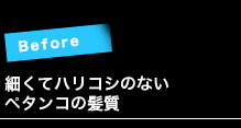 BEFORE:細くてハリコシのないペタンコの髪質 BEFORE:細くてハリコシのないペタンコの髪質