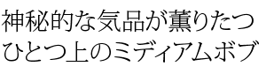Ūʵʤꤿ ҤȤľΥߥǥܥ
