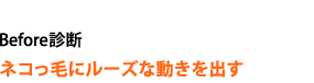 BeforeǡͥӤ˥롼ưФ