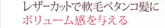 쥶åȤӥڥȱ˥ܥ塼ശͿ