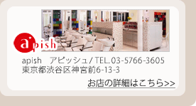 apishԥå/ TEL03-5766-3605Խë6-13-3 Źξܺ٤Ϥ>>