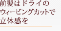 ȱϥɥ饤Υӥ󥰥åȤΩδ