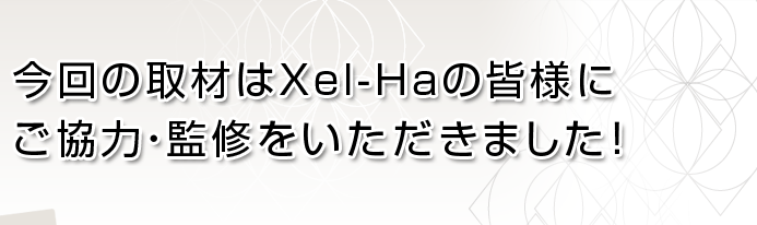 μXel-Haγͤˤϡƽ򤤤ޤ