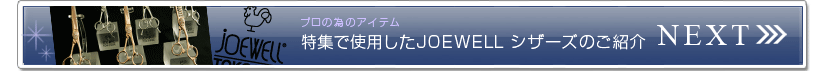 ץΰ٤ΥƥýǻѤJOEWELL ΤҲ