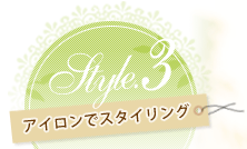 Style3.ǥ ߥḁ̊Ūʥ᡼Υĥ䴶