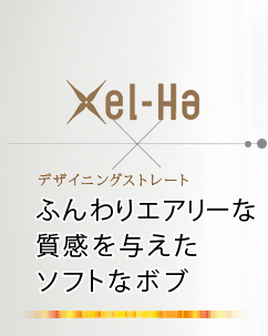 Xel-Haߥǥ˥󥰥ȥ졼 դꥨ꡼ʼͿեȤʥܥ