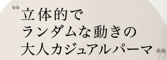 ꥪࡼߥѡޥ쥯ΩŪǥưͥ奢ѡ