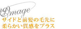 Styling Imageɤȱ˽餫ץ饹