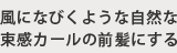 ˤʤӤ褦ʼ«ȱˤ