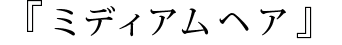 ߥǥإ