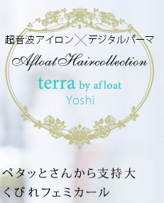 Ķȥߥǥѡޡterra by afloatYoshiåڥäȤ󤫤ٻ礯Ӥեߥ