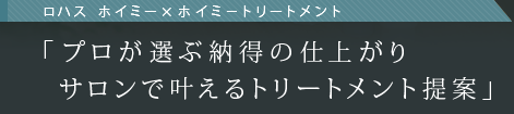 ڥȡ BEACH ߥƥΥ ľá֥ۥߡȥ꡼ȥȡפǥץǼλž夬