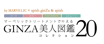 ޡ٥åapish¡apish GINZAͿ޴ 쥯20