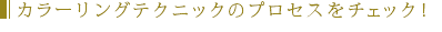 顼󥰥ƥ˥åΥץå