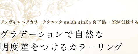 إ顼ƥ˥åapish ginZa ܲϺ롡ǡǼٺĤ륫顼