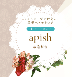 륷塼֤ǳ𤨤ȱإڥȥ꡼ȥȡapish 䴬ů