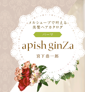 륷塼֤ǳ𤨤ȱإڥѡޡapish ginZaܲϺ