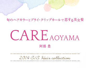 CARE AOYAMA ˭-ܤΥإ顼ȥ֥饤åץȱ2014ղƥإ쥯