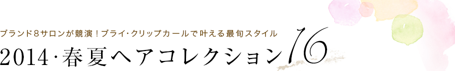 ֥8󤬶顪֥饤åץ뤬𤨤ǽܥ롡2014ղƥإ쥯16