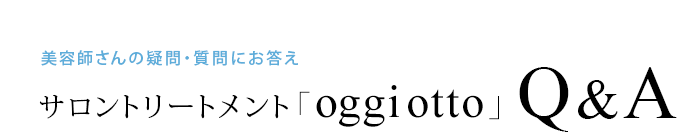 ƻդε䡦ˤȥ꡼ȥȡoggi ottoQA