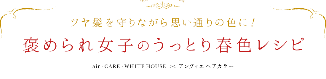ĥȱʤפ̤οˡ˫ҤΤäȤտ쥷 airCAREWHITEHOUSE