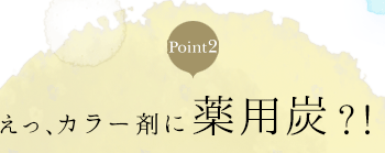 Point2 á顼ޤú