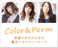 ColorPerm ĥҤΤɥޥƥåإ