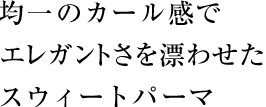 ѰΥ봶ǥ쥬Ȥɺ碌ȥѡ