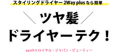 󥰥ɥ饤䡼 2Way plus ʤñ ĥȱɥ饤䡼ƥapishߥ른ѥӥ塼ƥ
