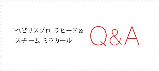 ٥ӥꥹץ ԡ ɥ饤䡼 ߥ饫 QA