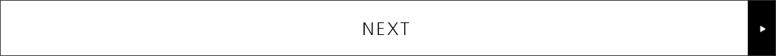NEXT-Salon Sense 300ʥ󥻥300˥꡼ ǿɥ饤䡼إΤҲ
