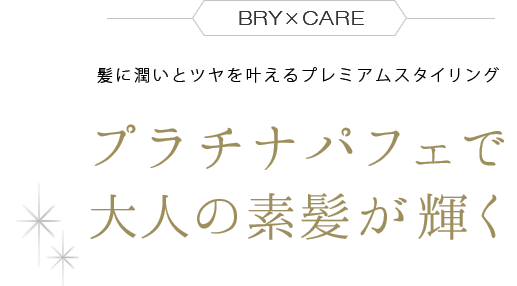 BRYCARE ץʥѥեͤȱ ȱ˽ᤤȥĥ𤨤ץߥॹ
