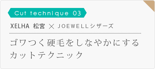 XELHA  JOEWELL åȥƥ˥å03åĤӤ򤷤ʤ䤫ˤ