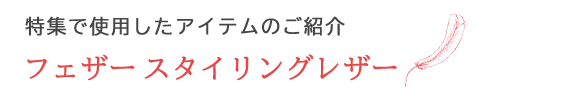 ե 󥰥쥶꡼åƥΤҲ