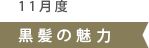 11١ȱ̥