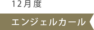 12١󥸥륫